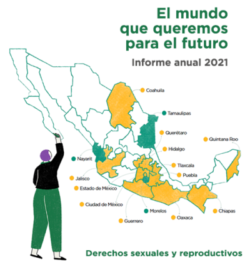 Informe anual 2021. El avance de los derechos sexuales y reproductivos en México